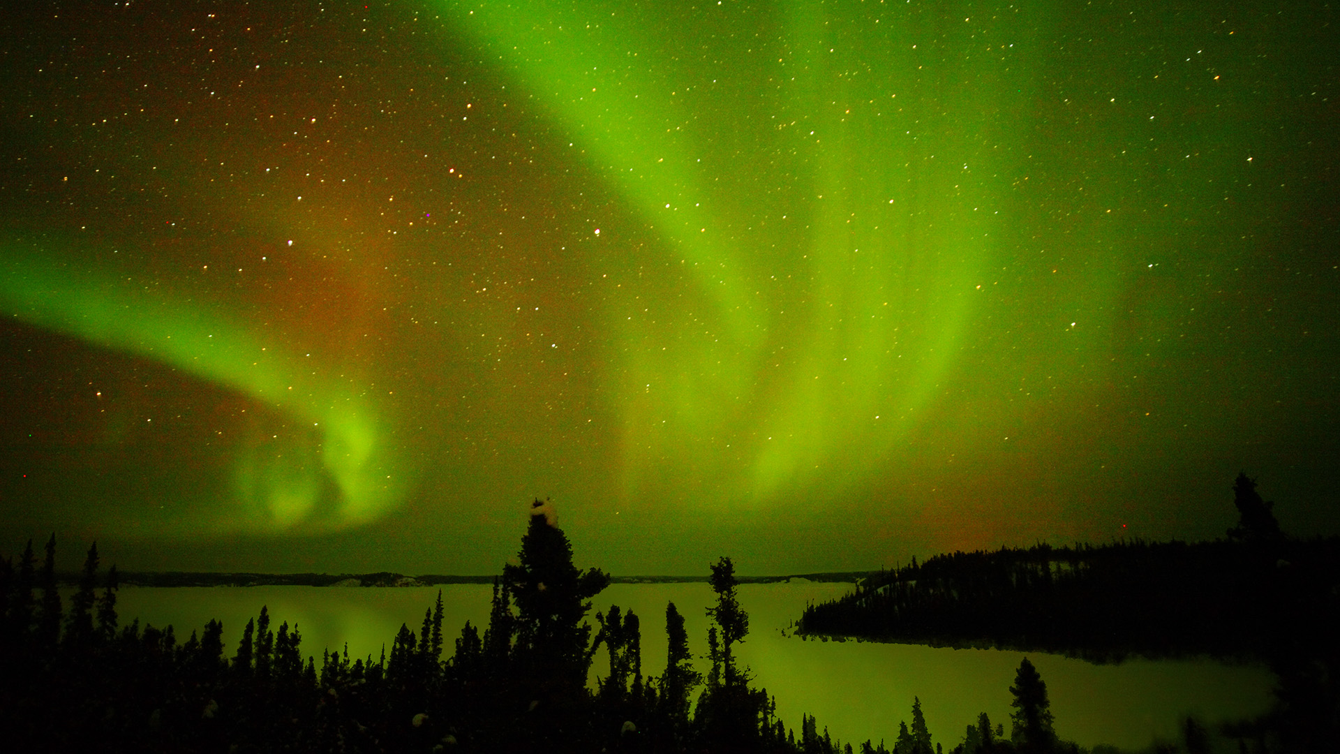 写真を動かすことに興味津々