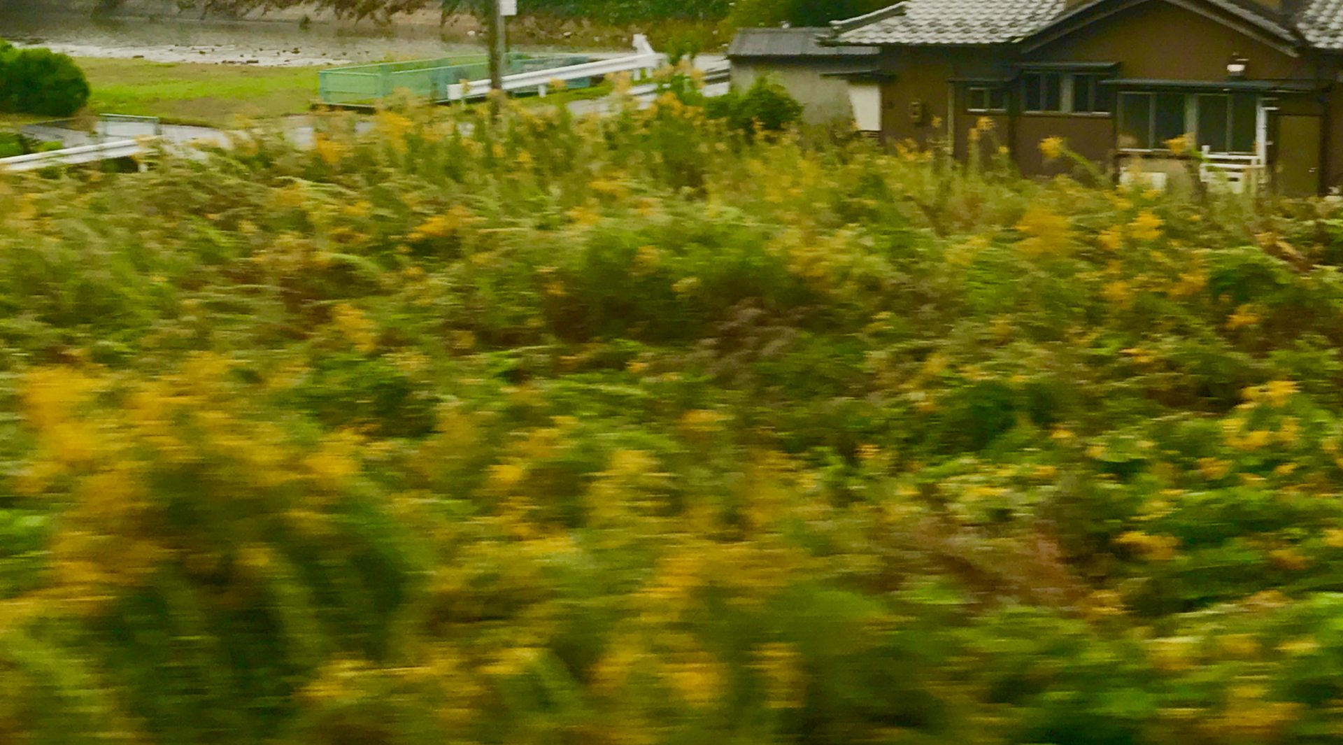 衆院選を目前に