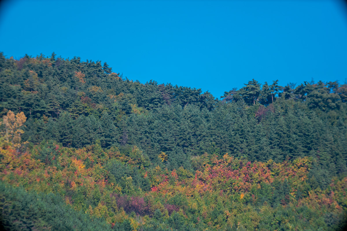 RAW現像するとこんな感じ:パート2