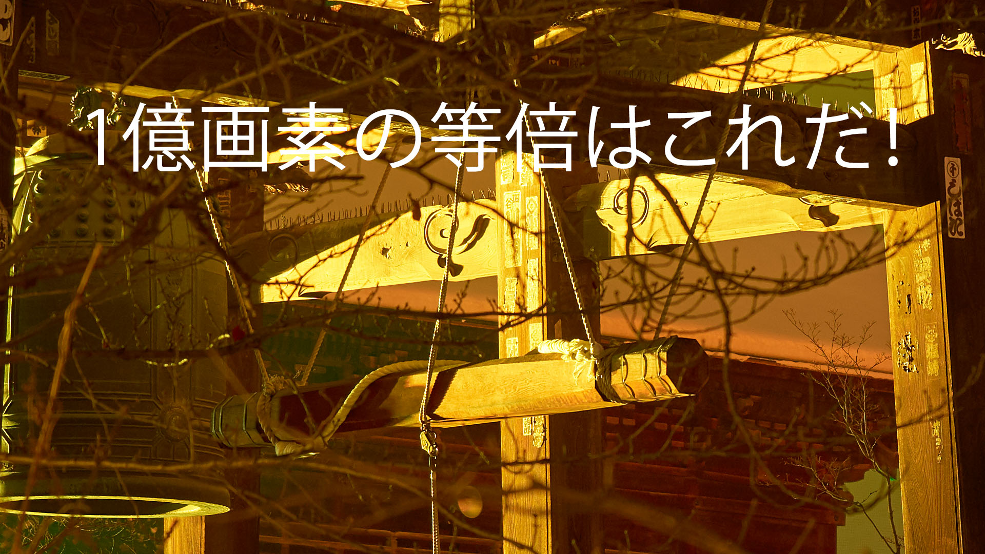 1億画素の破壊力