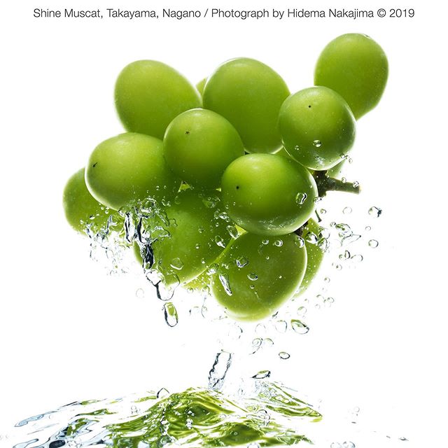 シャインマスカットを撮影[勝手に広告シリーズvol.2]